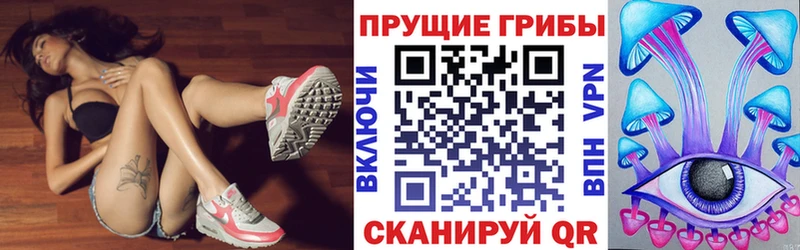 Псилоцибиновые грибы прущие грибы  Фатеж 